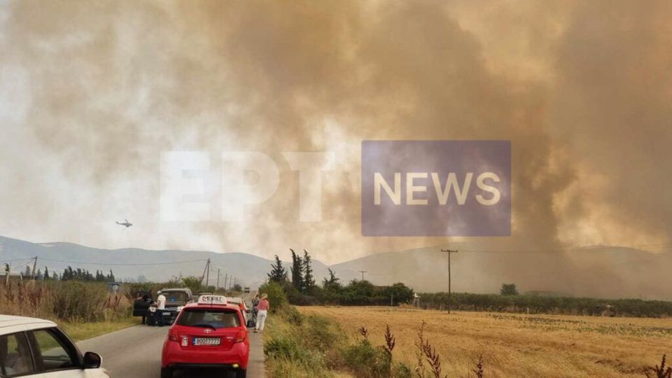 Φωτιά-στο-Βελεστίνο:-Συγκλονιστικό-βίντεο-δείχνει-τον-βοσκό-να-ζητάει-βοήθεια-για-τα-ζώα-του,-πριν-βρει-τραγικό-θάνατο