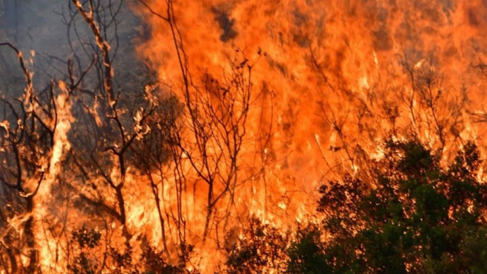 Βαρυμπόμπη:-Συναγερμός-στην-πυροσβεστική-–-Φωτιά-στην-περιοχή-Θέα-Αχαρνών